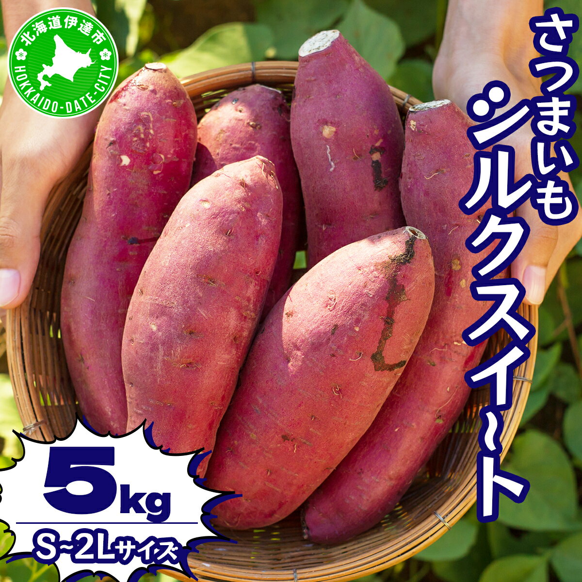 北海道 伊達 さつまいも シルクスイート 5kg 熟成 高糖度 サツマイモ 芋 甘い スイートヤバ芋 産地直送