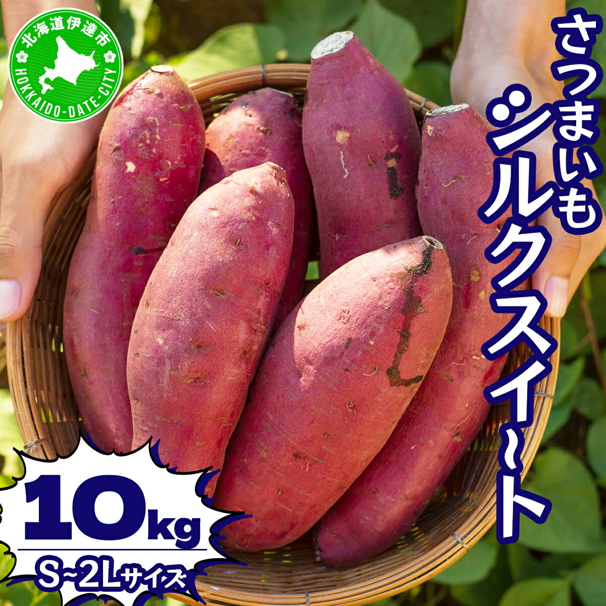 北海道 伊達 さつまいも シルクスイート 10kg 熟成 高糖度 サツマイモ 芋 甘い スイートヤバ芋 産地直送