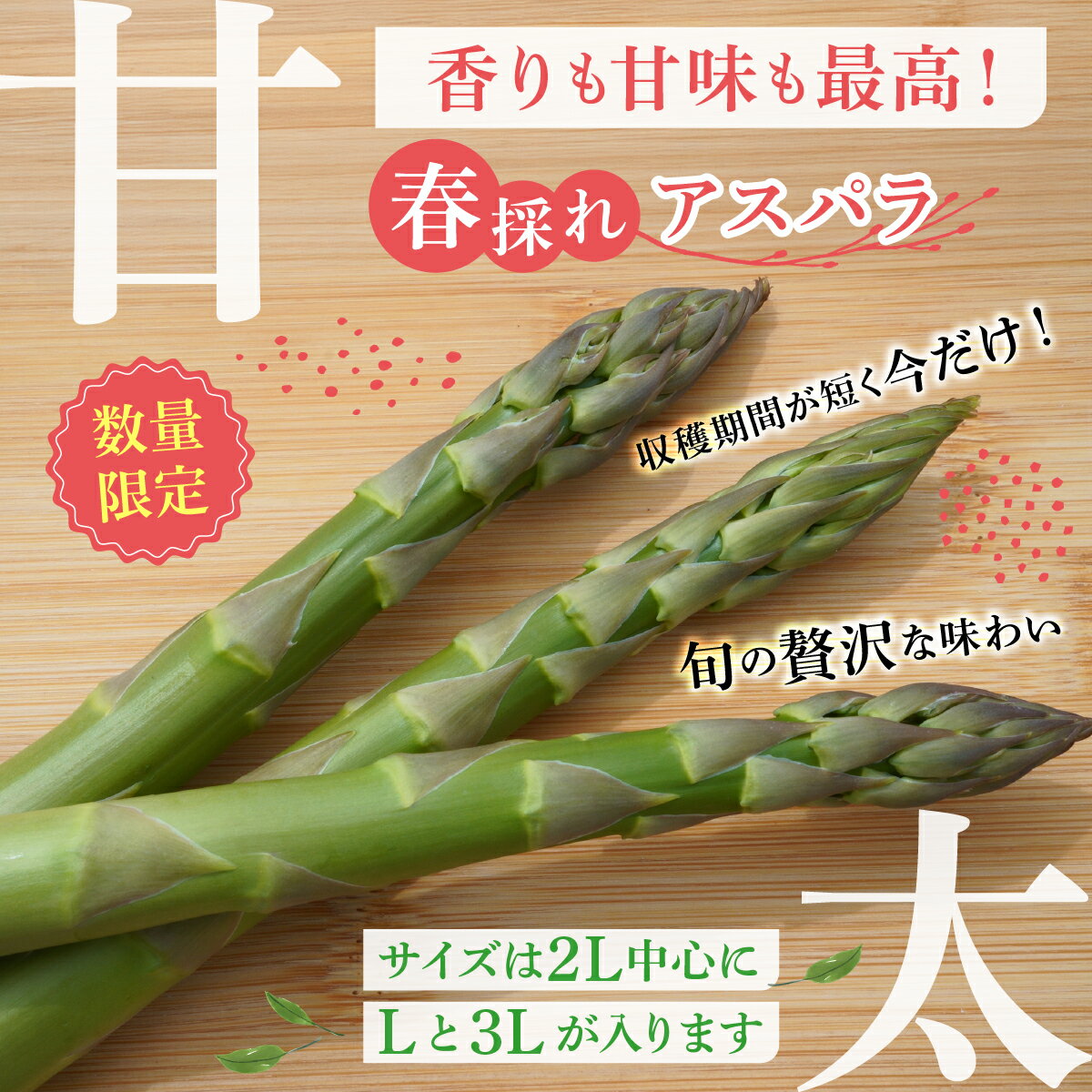 【ふるさと納税】【2026年先行予約】＜選べる容量＞太くてあまーい 北海道産 春芽 アスパラ (約1〜2kg／LL中心＋3L・L混合) 先行予約 新鮮 採れたて直送 旬 野菜 あすぱら 農家直送 北海道 - 画像2