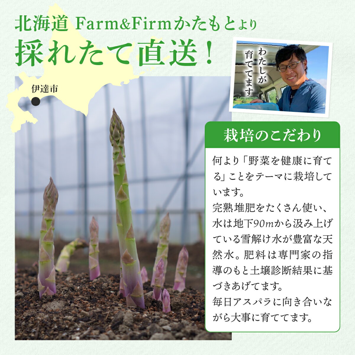 【ふるさと納税】【2026年先行予約】＜選べる容量＞太くてあまーい 北海道産 春芽 アスパラ (約1〜2kg／LL中心＋3L・L混合) 先行予約 新鮮 採れたて直送 旬 野菜 あすぱら 農家直送 北海道 - 画像3