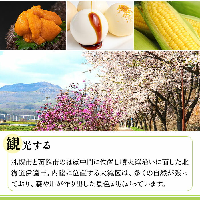 【ふるさと納税】北海道伊達市の対象施設で使える 楽天トラベルクーポン 寄付額100,000円　（クーポン 30,000円分） 北海道 宿泊 宿泊券 ホテル 旅館 旅行 旅行券 観光 トラベル チケット 旅 宿 券 - 画像3
