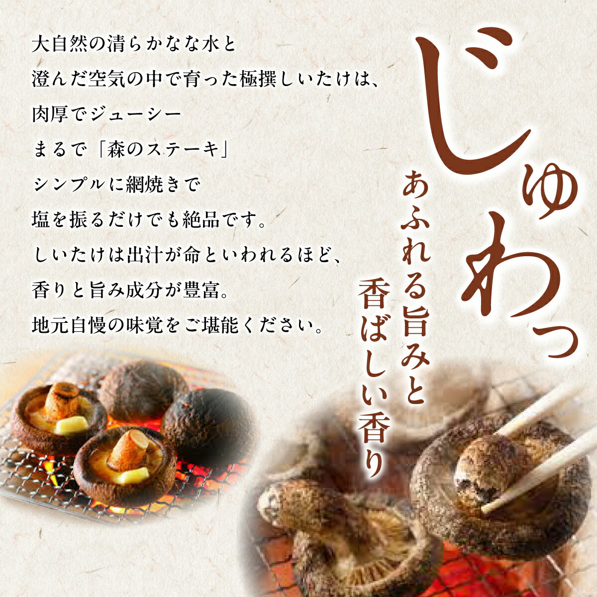 【ふるさと納税】北海道の自然で育った 極撰 肉厚 しいたけ 1kg 【 ふるさと納税 人気 おすすめ ランキング 生しいたけ 椎茸 菌床 シイタケ きのこ キノコ 茸 北海道 北斗市 送料無料 】 HOKBA001 - 画像2