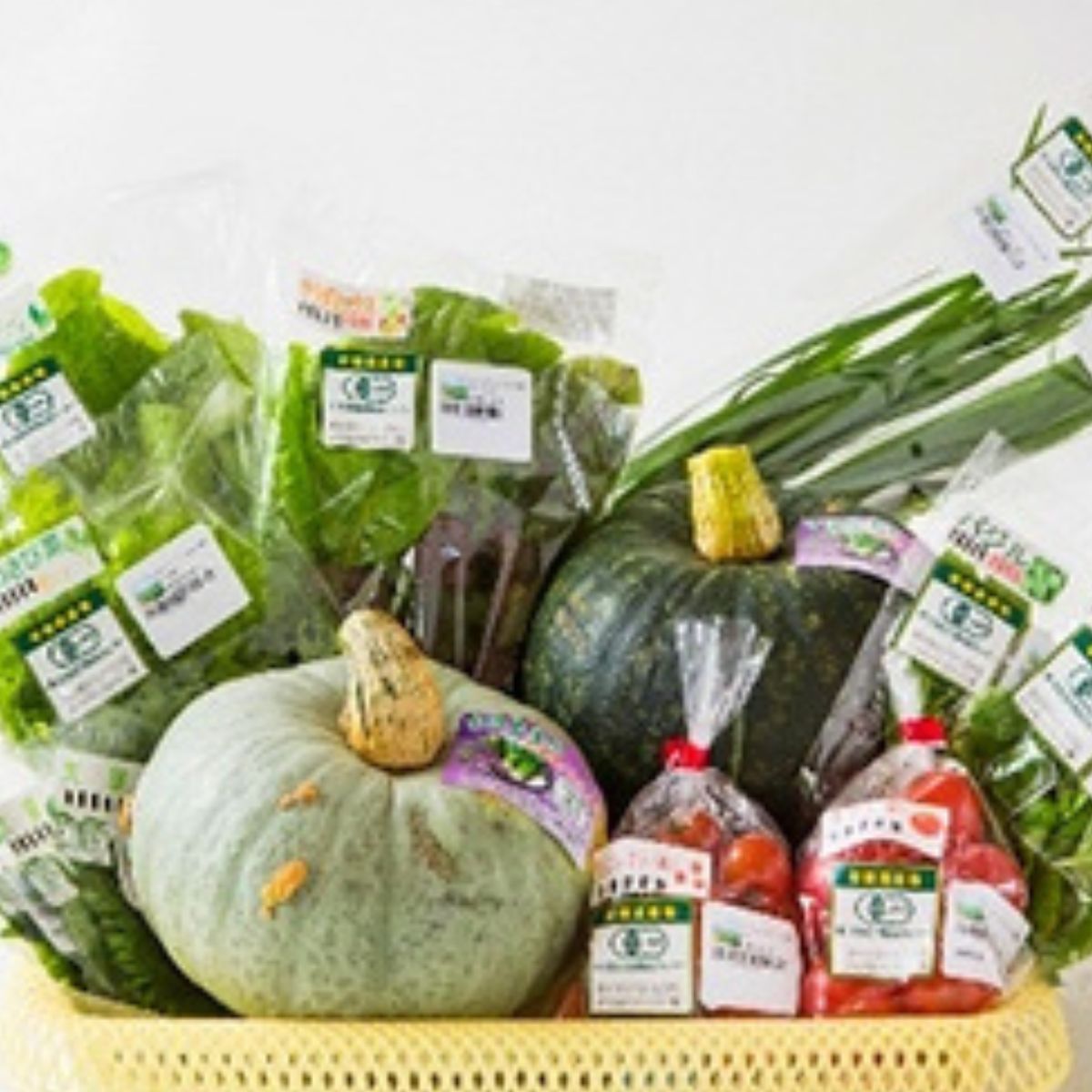 【ふるさと納税】【JAS認定有機野菜】北斗市産 有機野菜8～10種類野菜セット 紙箱入(季節で種類が変わります) 【 ふるさと納税 人気 おすすめ ランキング 野菜 詰め合わせ セット ベジタブル アラカルト 有機野菜 有機栽培 南瓜 北海道 北斗市 送料無料 】 HOKB019 - 画像3