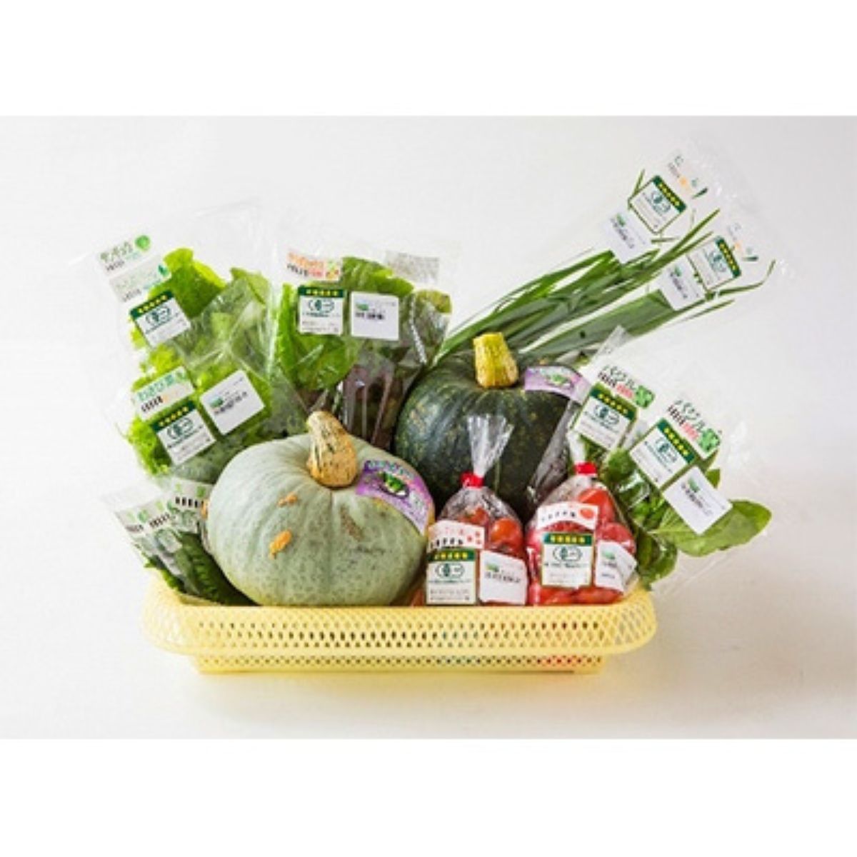 【ふるさと納税】【JAS認定有機野菜】北斗市産 有機野菜8～10種類野菜セット 紙箱入(季節で種類が変わります) 【 ふるさと納税 人気 おすすめ ランキング 野菜 詰め合わせ セット ベジタブル アラカルト 有機野菜 有機栽培 南瓜 北海道 北斗市 送料無料 】 HOKB019 - 画像2