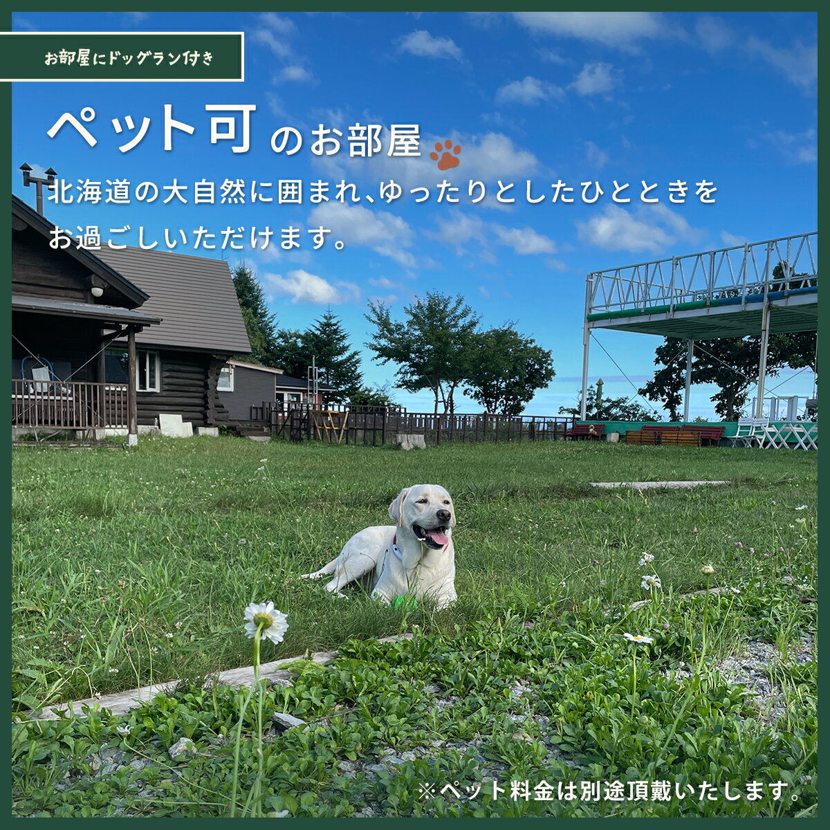 【ふるさと納税】当別風の丘 宿泊チケット（2名様まで） 【 ふるさと納税 人気 おすすめ ランキング 宿泊 リゾート ログハウス BBQ ドッグラン 自然 北海道 北斗市 送料無料 】 HOKZ001 サムネイル3