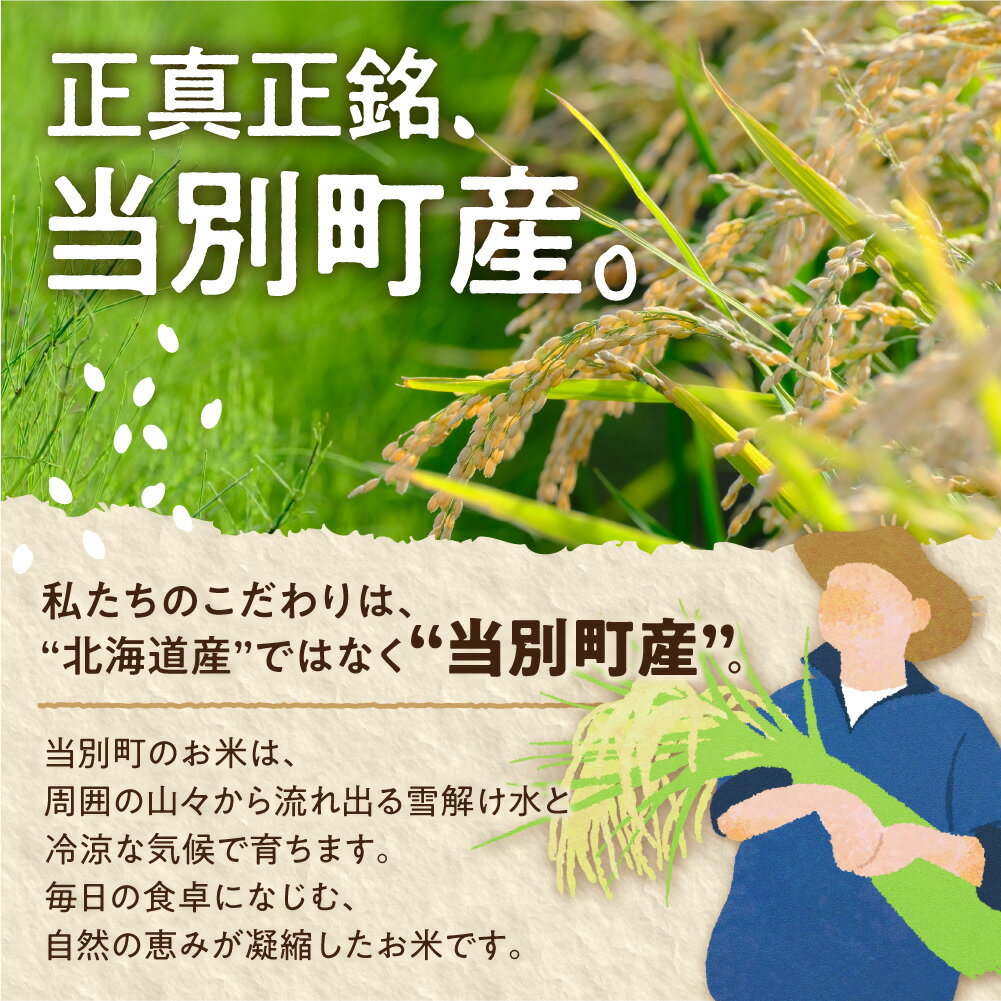 【ふるさと納税】【令和7年度産】特Aランクななつぼし 令和7年度産 単一農家の美味しいお米 5kg 10kg アグリルーターズ お米 米 白米 精米 北海道産 当別町産 定番 産地直送 ふっくら ご飯 こめ 農家直送特Aランク ななつぼし 高級米 - 画像3