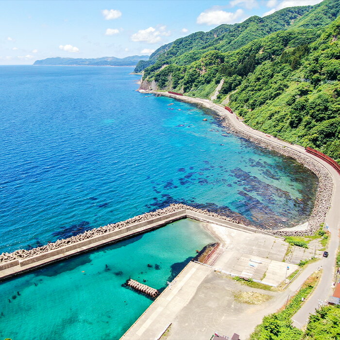 【ふるさと納税】大羽するめ 4～5号 15枚セット するめ スルメ いか イカ するめいか スルメイカ 大羽 干物 健康 おつまみ するめのまち 贈答 贈り物 ギフト プレゼント 北海道 福島町 送料無料 FKK003 サムネイル3