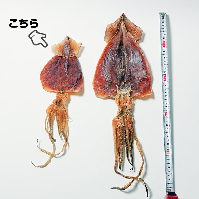 【ふるさと納税】大羽するめ 4～5号 15枚セット するめ スルメ いか イカ するめいか スルメイカ 大羽 干物 健康 おつまみ するめのまち 贈答 贈り物 ギフト プレゼント 北海道 福島町 送料無料 FKK003 サムネイル2