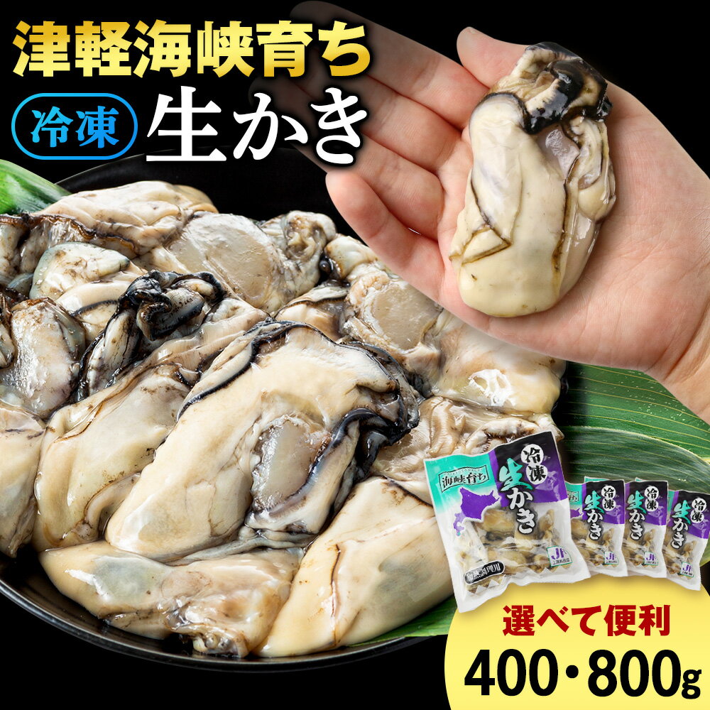 冷凍カキ 選べる2〜4袋セット 合計400g〜800g 1袋 約200g 牡蠣 海鮮 魚介 かき 冷凍＜上磯郡漁業協同組合＞知内町 ふるさと納税 知内町 加熱用 牡蠣 北海道産カキ 冷凍 牡蠣 かき カキ 北海道産 おせち