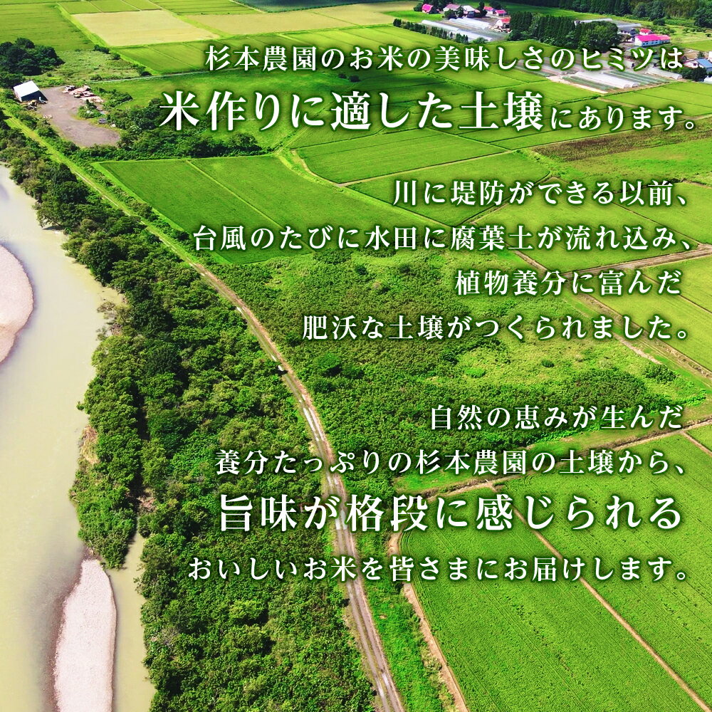 【ふるさと納税】【令和7年産】ゆめぴりか・ふっくりんこ食べ比べセット 10kg（5kg×2）《杉本農園》知内町 ふるさと納税 米 こめ 北海道産お米 北海道米 美味しいお米 北海道産米 道産米 - 画像3