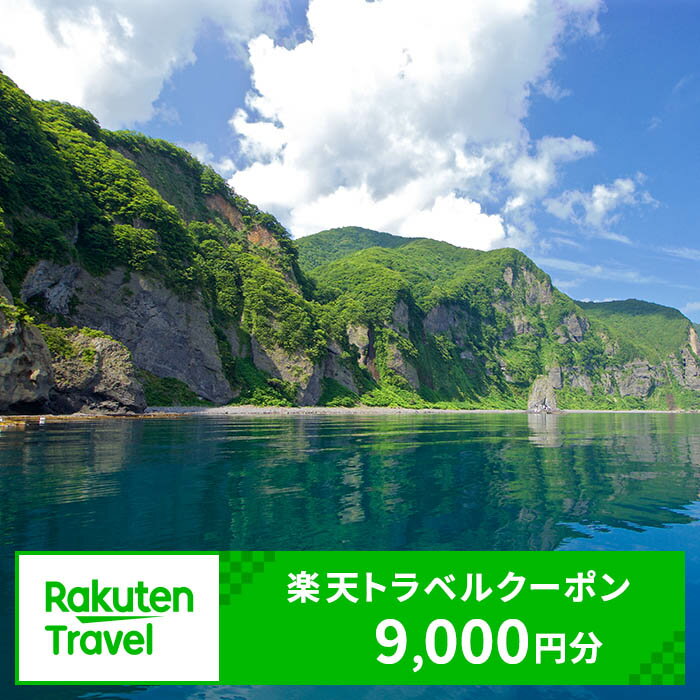 北海道知内町の対象施設で使える楽天トラベルクーポン　寄付額30,000円 体験【RTC003】