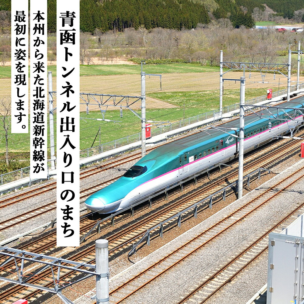 【ふるさと納税】北海道知内町の対象施設で使える楽天トラベルクーポン　寄付額30,000円 体験【RTC003】 サムネイル2