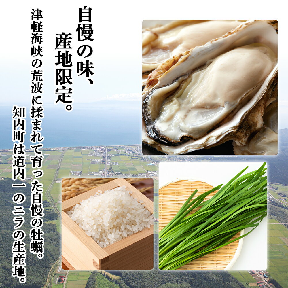 【ふるさと納税】北海道知内町の対象施設で使える楽天トラベルクーポン　寄付額30,000円 体験【RTC003】 サムネイル3