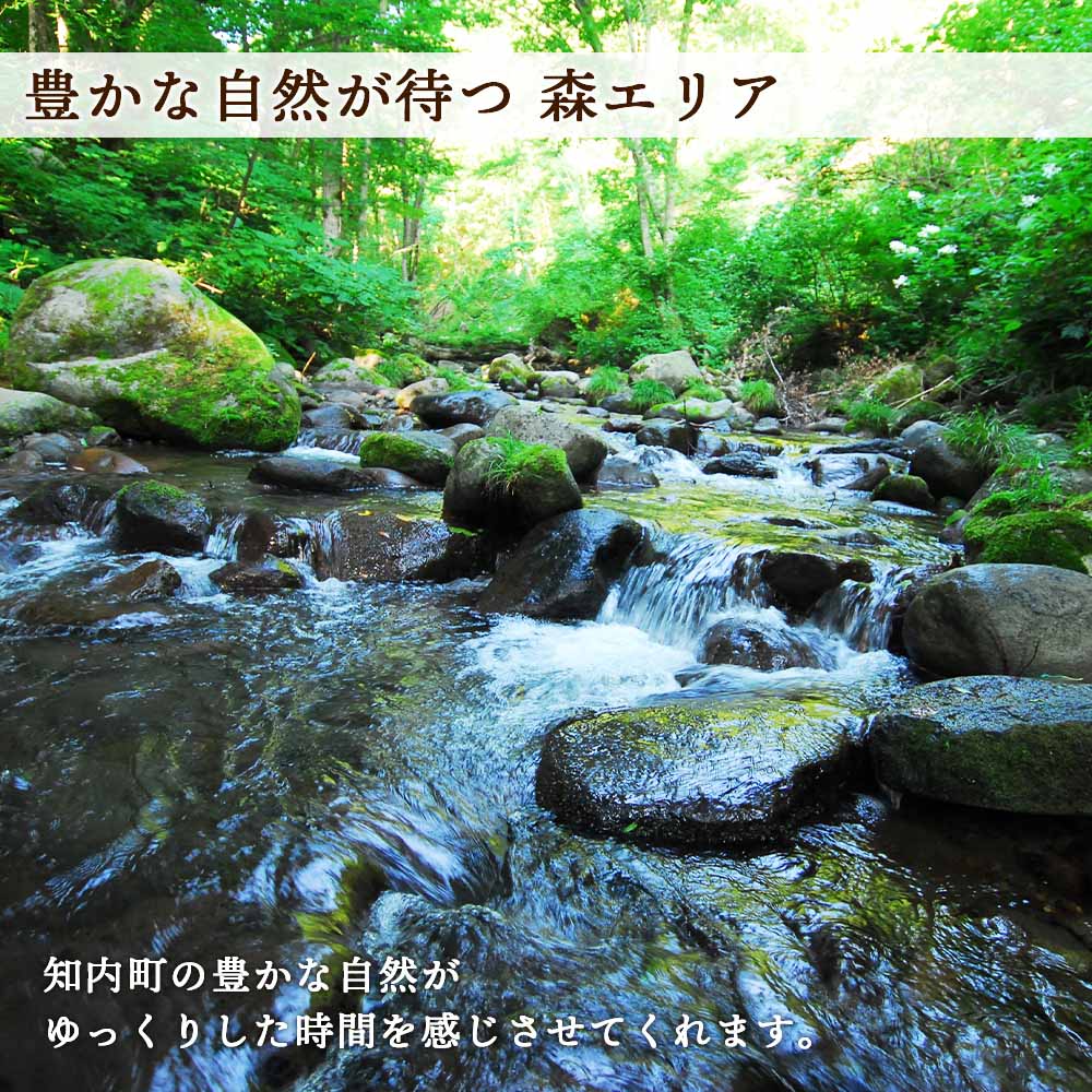 【ふるさと納税】〜絶景と牡蠣の町〜 ようこそ！知内町へ☆宿泊クーポン2,500円分知内町 ふるさと納税 宿泊チケット 宿泊クーポン 宿泊券 知内 北海道 旅行 旅館 民宿 体験 サムネイル3
