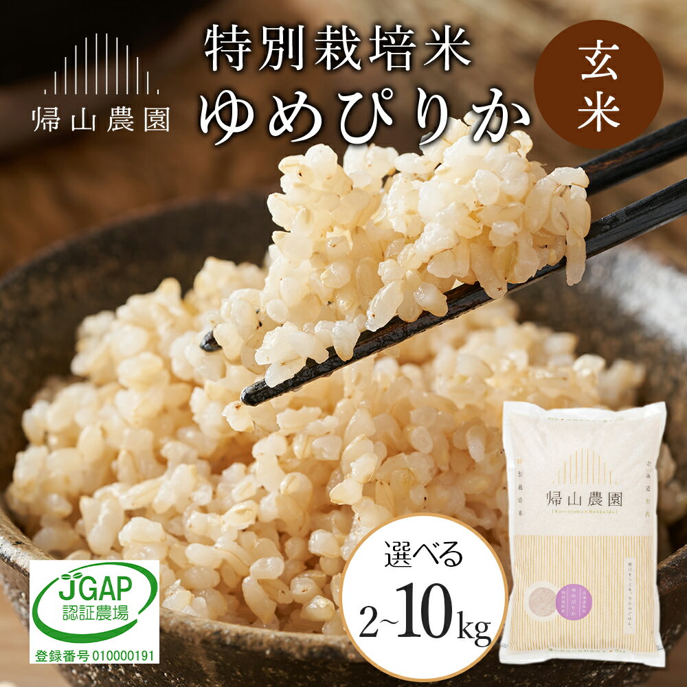 【令和7年産】玄米 ゆめぴりか 選べる2kg〜10kg 特別栽培米産地直送《帰山農園》知内町 ふるさと納税 米 こめ 北海道産お米 北海道米 美味しいお米 北海道産米 道産米 ふるさと納税 秋 旬