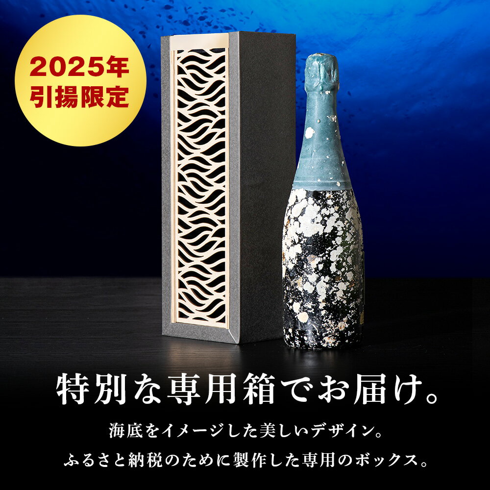 【ふるさと納税】選べる知内海底熟成ウイスキー 【2023年引き揚げ】【2024年引き揚げ】【2025年引き揚げ】知内海底熟成シャンパン E知内町 ふるさと納税 北海道ふるさと納税 北海道 ウイスキー 熟成ウイスキー 海底ウイスキー 洋酒 海底酒 サムネイル2