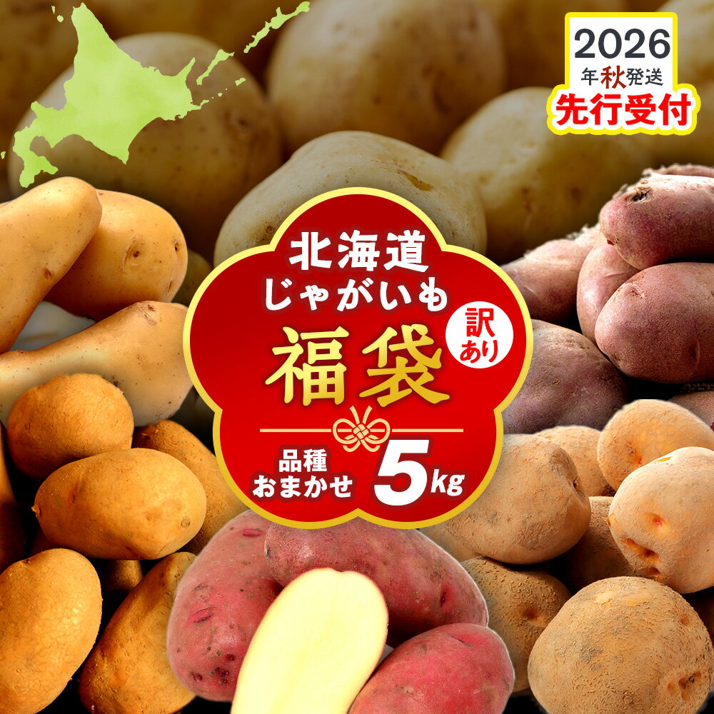 【2026年10月発送！】北海道産 じゃがいも 訳あり 5kg〈秋山農園〉 "お楽しみランダム" きたあかり メークイン ノーザンルビー レッドムーン 北海黄金 北海道 訳アリ ポテト 芋 キタアカリ 国産 馬鈴薯 野菜 産地直送 根菜 北海道ふるさと納税 木古内町