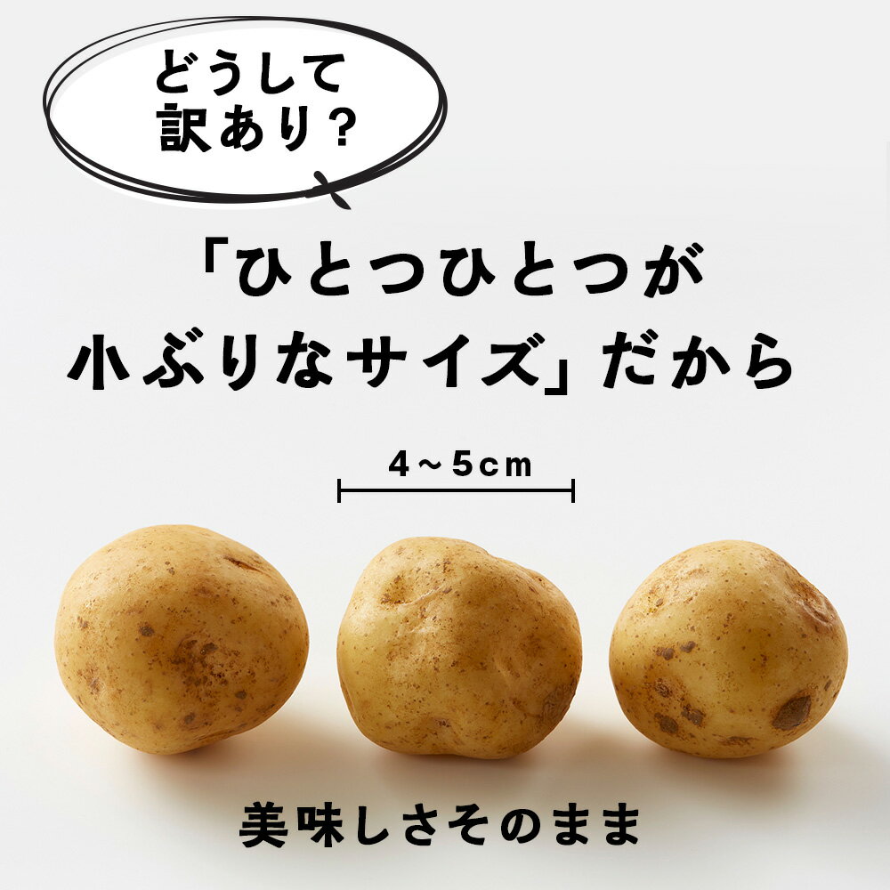 【ふるさと納税】【2026年10月発送！】北海道産 じゃがいも 訳あり 5kg〈秋山農園〉 "お楽しみランダム" きたあかり メークイン ノーザンルビー レッドムーン 北海黄金 北海道 訳アリ ポテト 芋 キタアカリ 国産 馬鈴薯 野菜 産地直送 根菜 北海道ふるさと納税 木古内町 - 画像3