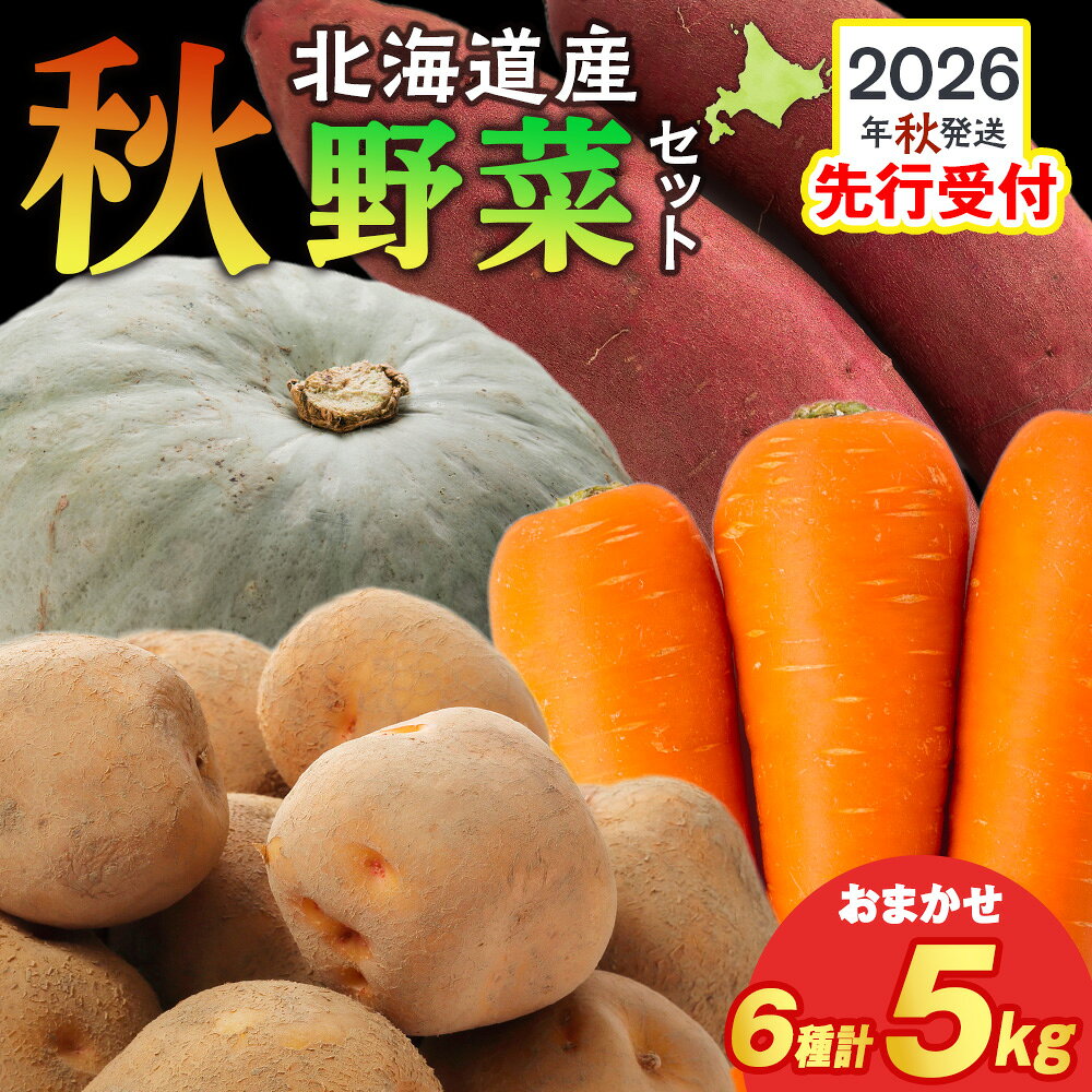 【2026年10月上旬以降順次発送】秋野菜 詰め合わせ 6種 計5kg サツマイモ・かぼちゃ・じゃがいも・にんじん・他 おたのしみ 秋野菜北海道ふるさと納税 木古内町 ふるさと納税 北海道
