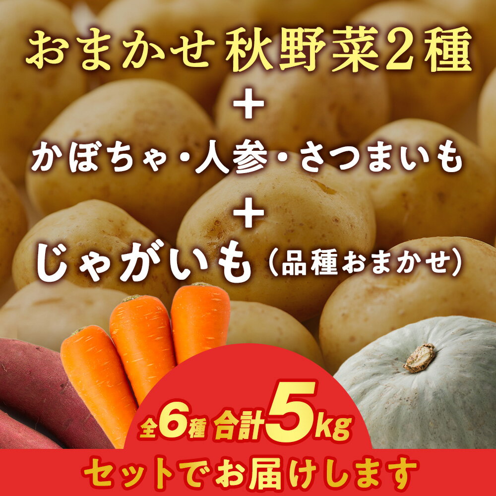 【ふるさと納税】【2026年10月上旬以降順次発送】秋野菜 詰め合わせ 6種 計5kg サツマイモ・かぼちゃ・じゃがいも・にんじん・他 おたのしみ 秋野菜北海道ふるさと納税 木古内町 ふるさと納税 北海道 - 画像3