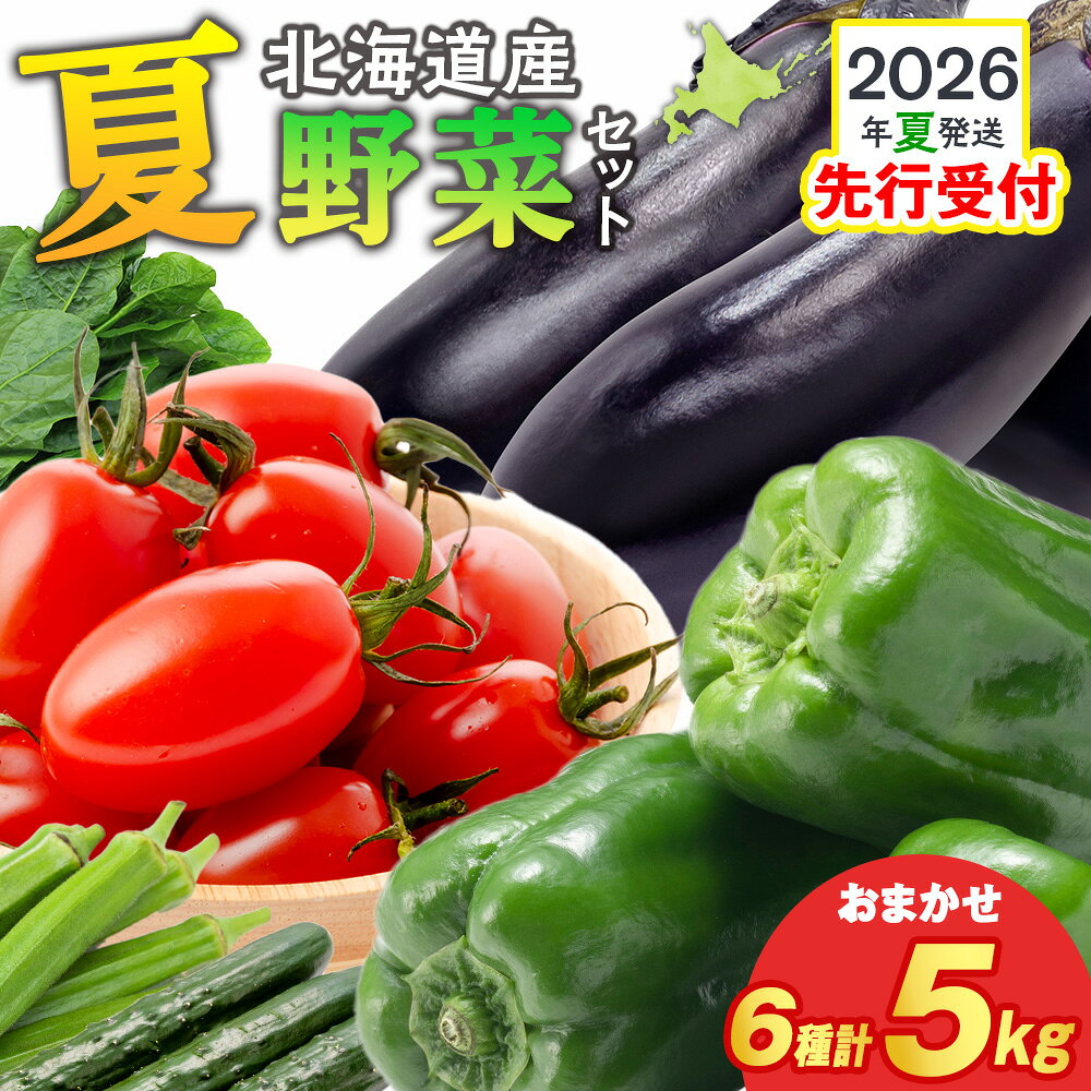 【2026年夏発送】秋山農園のおすすめ夏野菜セット5kg 5種 野菜詰め合わせお楽しみ ランダム お任せ 旬野菜 北海道ふるさと納税 木古内町 ふるさと納税 北海道