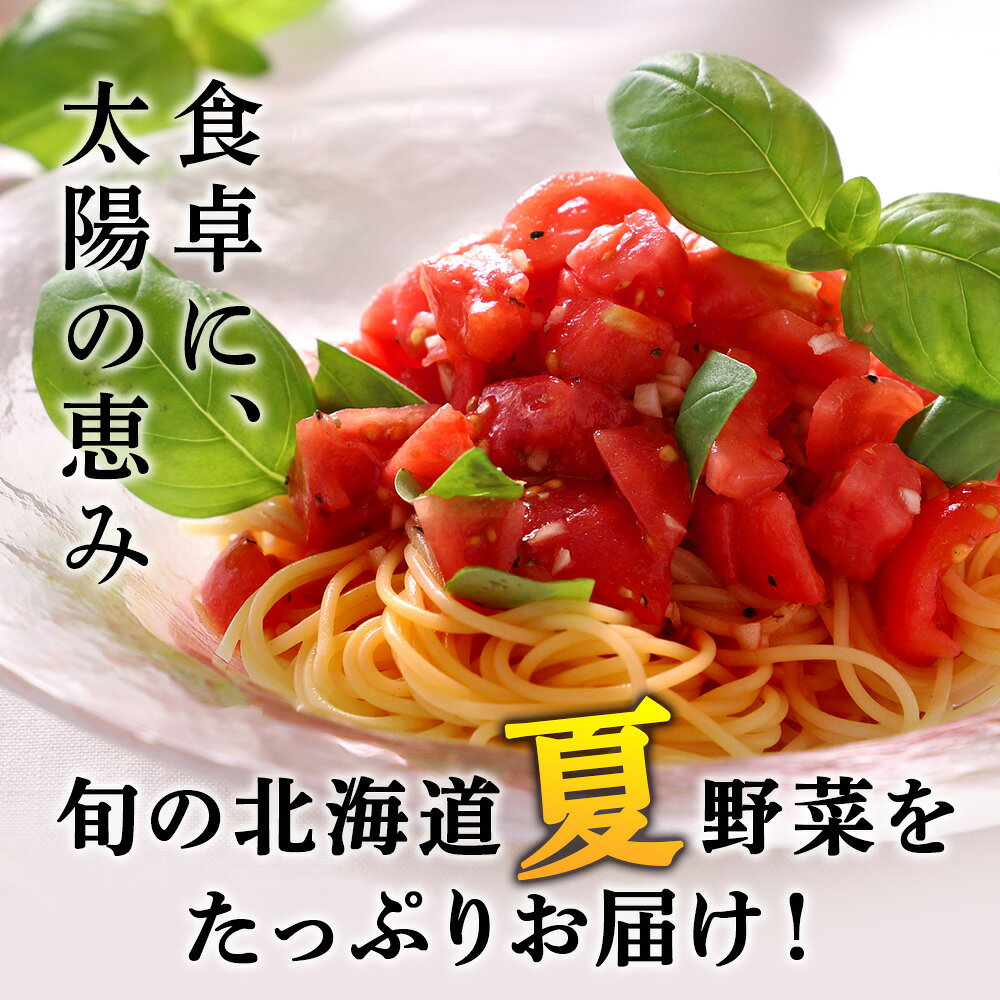 【ふるさと納税】【2026年夏発送】秋山農園のおすすめ夏野菜セット5kg 5種 野菜詰め合わせお楽しみ ランダム お任せ 旬野菜 北海道ふるさと納税 木古内町 ふるさと納税 北海道 - 画像2