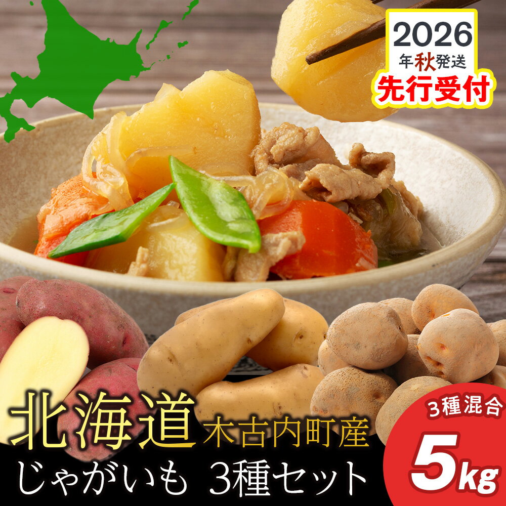 【2026年10月発送！】【秋山農園】北海道産 じゃがいも混合5kg（・レッドムーン ・きたあかり ・メークイン）ジャガイモ 野菜 詰め合わせ セット 北海道ふるさと納税 木古内町 ふるさと納税 北海道