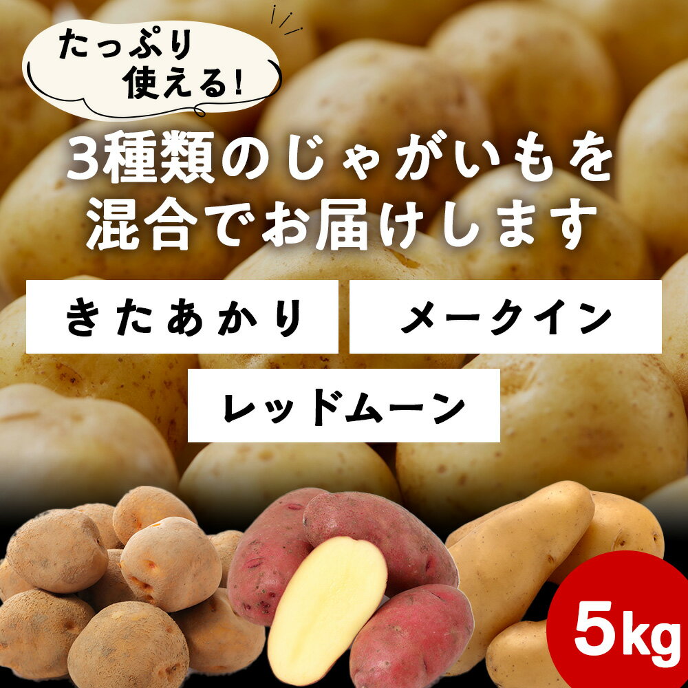 【ふるさと納税】【2026年10月発送！】【秋山農園】北海道産 じゃがいも混合5kg（・レッドムーン ・きたあかり ・メークイン）ジャガイモ 野菜 詰め合わせ セット 北海道ふるさと納税 木古内町 ふるさと納税 北海道 - 画像2
