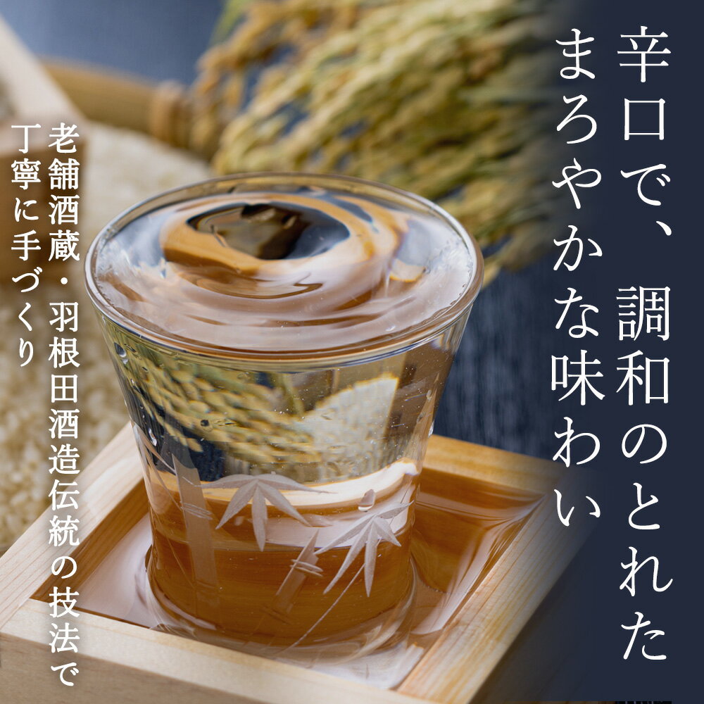 【ふるさと納税】日本酒 木古内町限定酒 特別純米酒55％ みそぎの舞 720ml 純米酒60％ みそぎの舞 720ml 各1本 セット 北海道 酒 お酒 地酒 飲み比べ 限定 北海道ふるさと納税 木古内町 ふるさと納税 北海道 サムネイル2