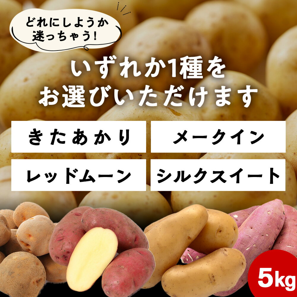 【ふるさと納税】【2026年10月発送！】【秋山農園】北海道産 選べる品種 ジャガイモ さつまいも 5kg きたあかり メークイン レッドムーン シルクスイート野菜 いも 芋 じゃがいも さつま芋 北海道ふるさと納税 木古内町 ふるさと納税 北海道 - 画像2