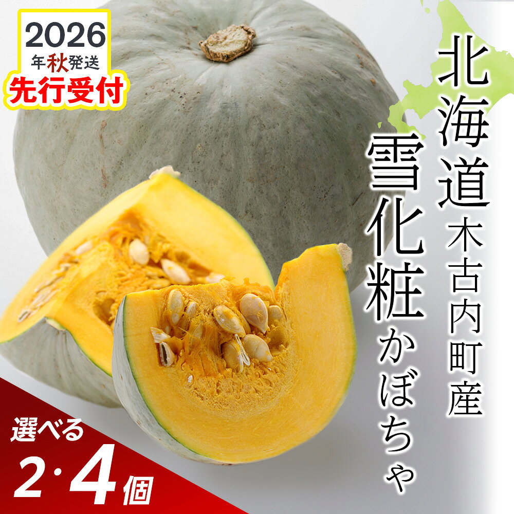 【秋山農園】北海道産 かぼちゃ 雪化粧 選べる2個・4個入り南瓜 ほくほく 野菜 旬 秋野菜 北海道ふるさと納税 木古内町 ふるさと納税 北海道