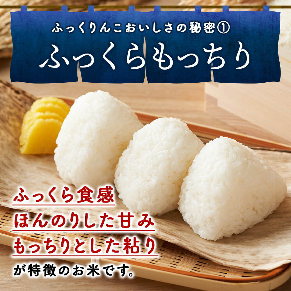 【ふるさと納税】【選べる定期便】令和7年産！ 北海道 木古内産 ふっくりんこ 選べる5kg〜15kg 特A 精米 お米 白米 北海道米 道産米 ブランド米 ごはん ご飯 ふっくら 産地直送 こめ コメ 北海道ふるさと納税 木古内町 ふるさと納税 北海道 - 画像3