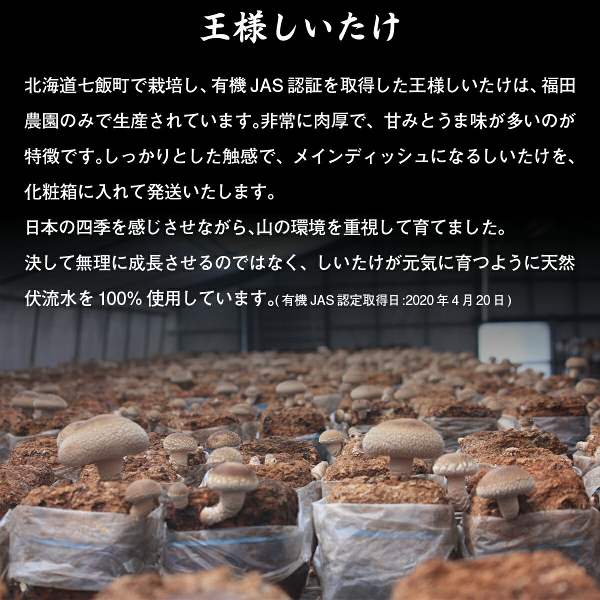 【ふるさと納税】【2025年11月より発送】王様しいたけバラエティセット（6種7個）福田農園 【 しいたけ 生しいたけ シイタケ 椎茸 オーガニック ジューシー 肉厚 ステーキ 鍋 煮物 セット 年越し 新年 年賀 おせち お餅 雑煮 手土産 贈答 送料無料 】 NAT003 - 画像2