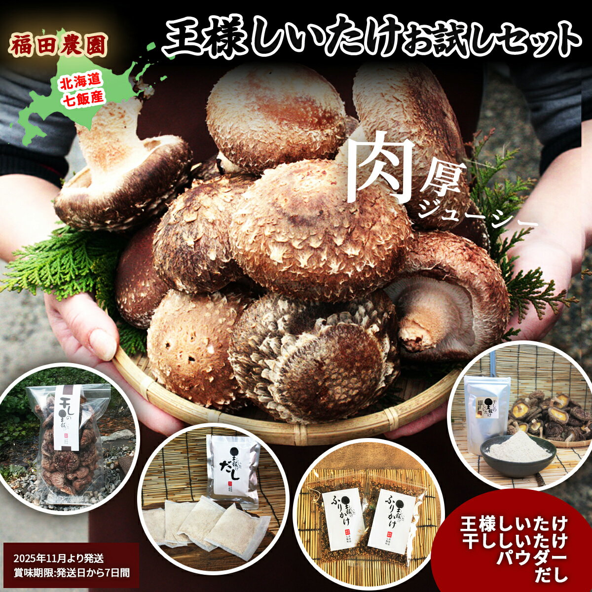 王様しいたけお試しセット 福田農園 【 しいたけ 生しいたけ シイタケ 椎茸 干ししいたけ パウダー オーガニック ジューシー 肉厚 ステーキ 鍋 煮物 送料無料 】 NAT005