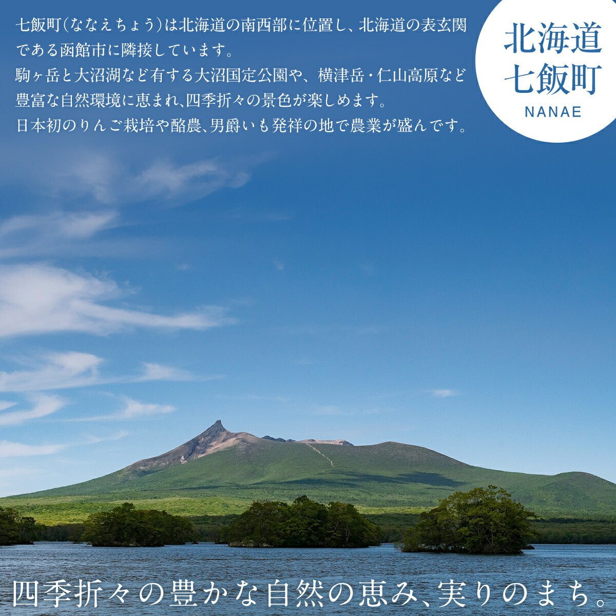 【ふるさと納税】フルーツ北海道りんごワイン 500ml 選べる本数（3本/6本/12本）【ふるさと納税 人気 おすすめ ランキング ワイン わいん フルーツワイン りんごワイン セット お酒 北海道 七飯町 送料無料】 サムネイル3