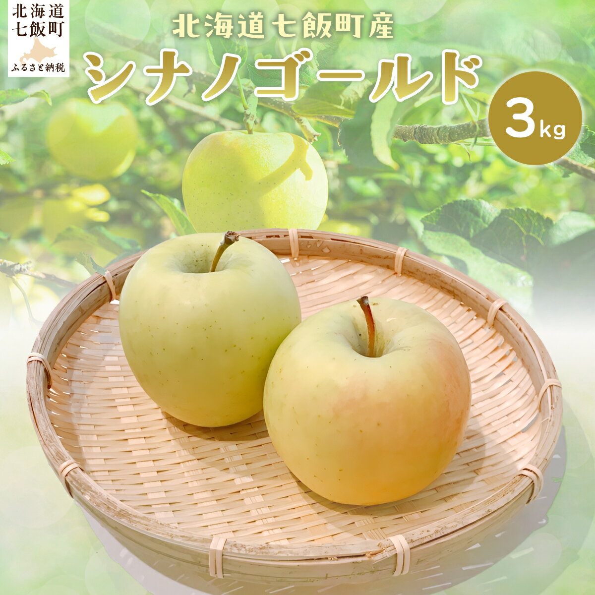 【2026年1月上旬以降発送】シナノゴールド3kg 【ふるさと納税 人気 おすすめ ランキング りんご リンゴ 林檎 シナノゴールド 3kg 七飯町産 北海道 七飯町 送料無料】 NAJ004