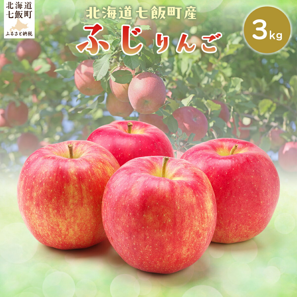【2025年12月下旬以降発送】ふじ3kg 【ふるさと納税 人気 おすすめ ランキング りんご リンゴ 林檎 ふじ 3kg 七飯町産 北海道 七飯町 送料無料】 NAJ005