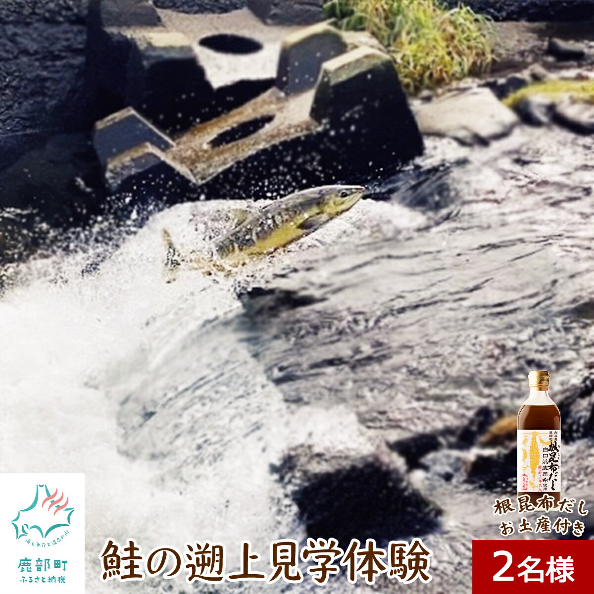 旅行 観光 体験 チケット 鮭の遡上見学体験 2名様分 根昆布だし お土産付き 道の駅しかべ間歇泉公園 入園券付き 鮭 遡上 見学 北海道 鹿部 送料無料
