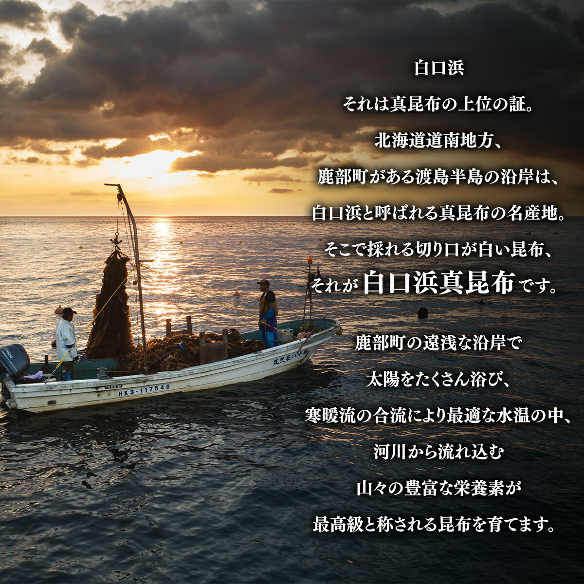 【ふるさと納税】 醤油 白口浜真昆布使用 昆布醤油 500ml×3 北海道 昆布 白口浜真昆布 冷奴 納豆 煮物 刺身 寿司 調味料 鹿部町 道の駅しかべ 常温 送料無料 サムネイル2