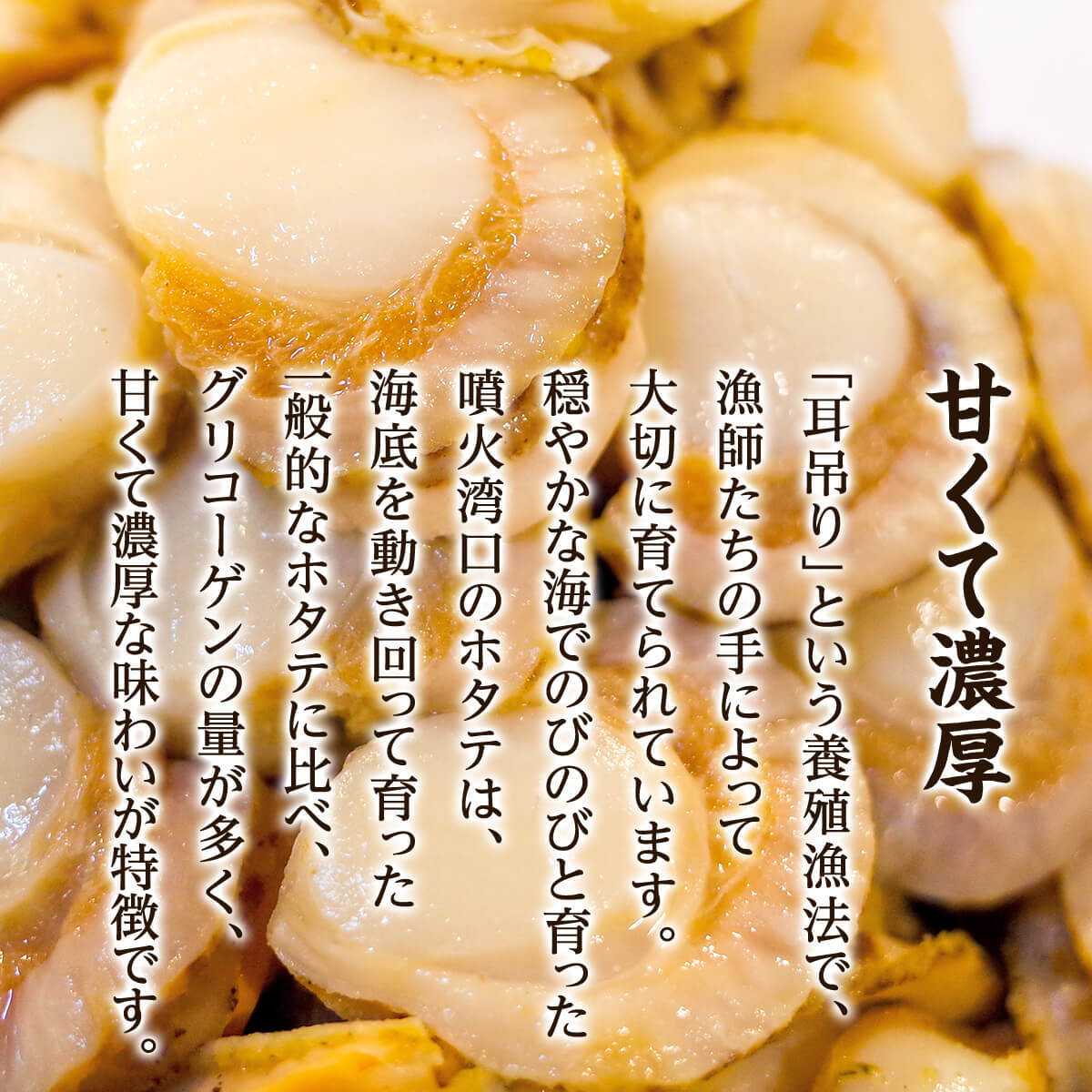 【ふるさと納税】ホタテ ほたて 北海道産 ボイルベビーホタテ Lサイズ 1kg～3kg (1袋あたり80-100個) 加熱用 数量限定 帆立 海鮮 冷凍 送料無料 - 画像3