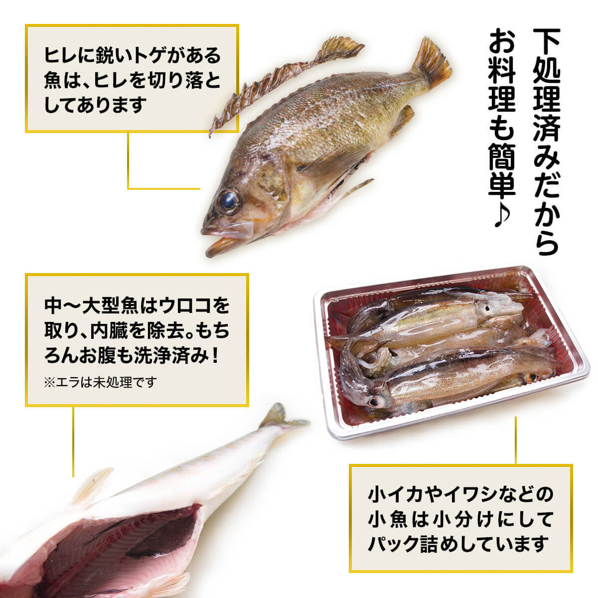 【ふるさと納税】 【発送時期が選べる】 高評価 ★4.58 北海道産 訳あり 冷凍 鮮魚 最大2.8kg〜4.5kg 鮮魚セット 冷凍 魚 魚介 規格外 不揃い 大容量 ほたて さば ほっけ いか 漁師 応援 鮮魚ボックス 詰め合わせ 人気 リピーター 下処理済み 塩焼き 焼魚 煮魚 送料無料 サムネイル2