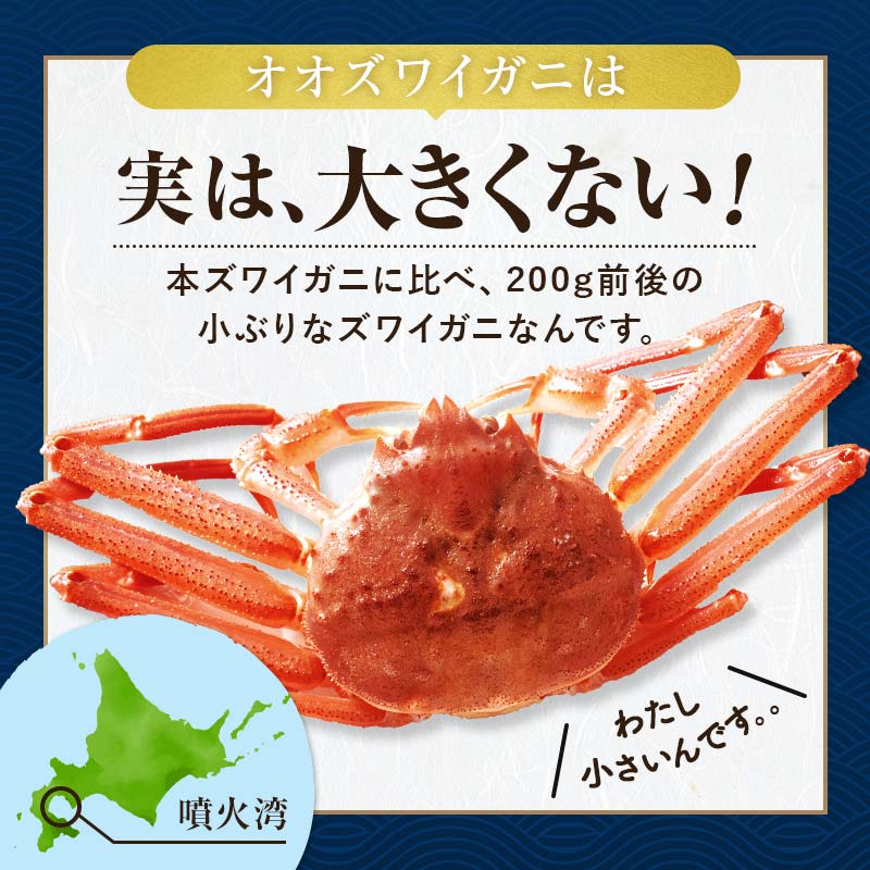 【ふるさと納税】【選べる容量・配送月】【訳あり】北海道噴火湾産 活オオズワイガニ 1.5～3kg 10000円 12000円 ＜道産ネットミツハシ＞ 配送時期が選べる 生産者応援 かに カニ 蟹 ずわい蟹 北海道産 鍋 かにすき かにしゃぶ 海鮮 わけあり ご自宅用 mr1-0352 サムネイル3