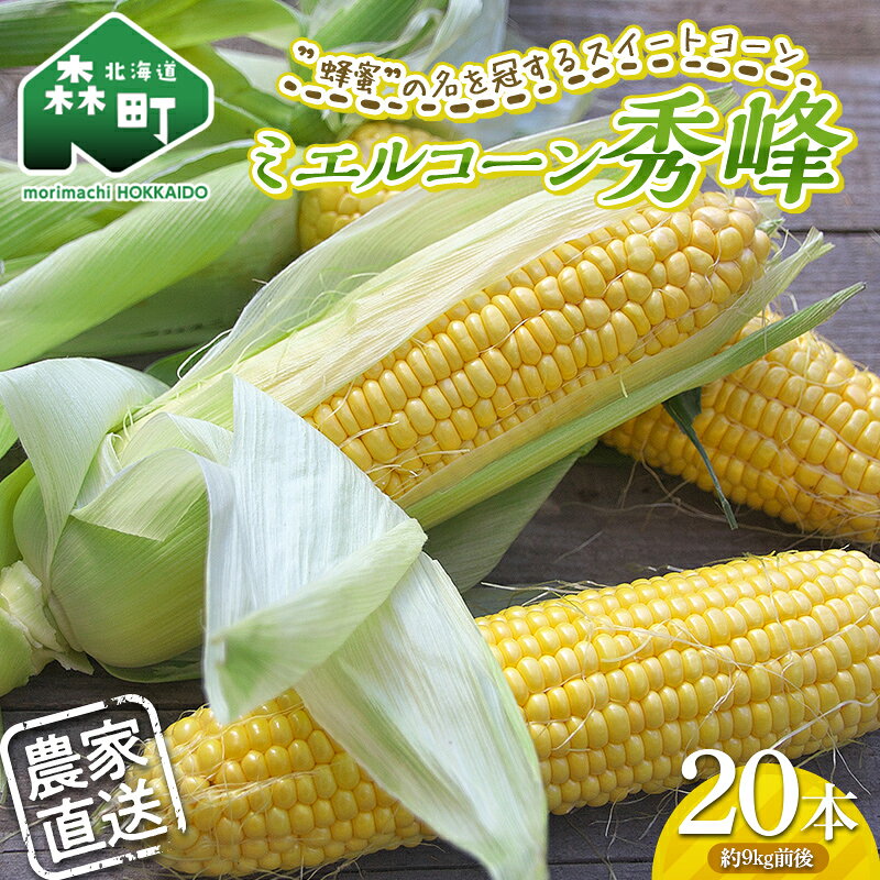 【先行予約】北海道森町産スイートコーン はちみつのように甘い！！黒田貢さんがつくったミエルコーン「秀峰」 20本（L～2L）約9kg前後（2026年6月中旬より順次発送） mr1-0483