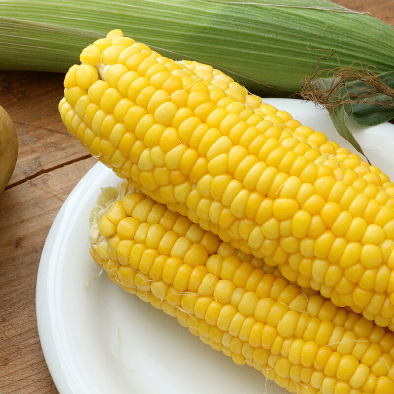 【ふるさと納税】【先行予約】北海道森町産スイートコーン はちみつのように甘い！！黒田貢さんがつくったミエルコーン「秀峰」 20本（L～2L）約9kg前後（2026年6月中旬より順次発送） mr1-0483 - 画像2