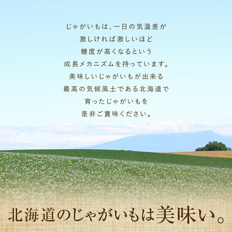 【ふるさと納税】【先行予約】 ＜容量が選べる＞【訳あり】北海道森町産 じゃがいも福袋 10kg or 20kg （2026年8月上旬～12月中旬まで順次お届け） 野菜 ジャガイモ きたあかり だんしゃく 男爵 とうや メークイン ポテト 北海道 7500円 mr1-0508 サムネイル3