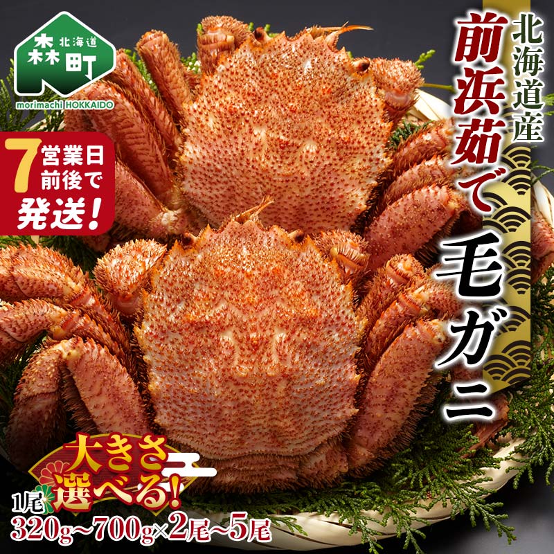 《年末発送受付中》北海道 毛ガニ 容量が選べる 前浜茹で毛がに 約320g~700g 2尾~5尾 かに カニ 蟹 ガニ がに 森町 毛蟹 毛かに 毛がに 毛カニ 毛ガニ 年内発送 9月発送 mr1-0734