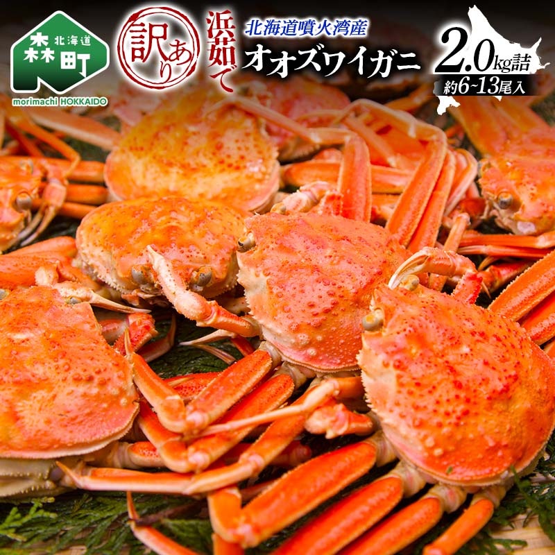 【訳あり】浜茹でオオズワイガニ 2.0kg 詰め込みセット 北海道噴火湾産 ＜道産ネットミツハシ＞ かに カニ 蟹 がに 北海道 森町 ふるさと納税 mr1-1338var