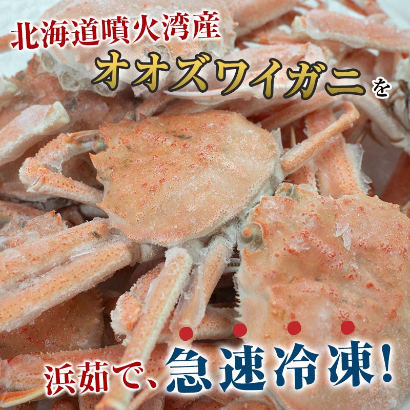 【ふるさと納税】【訳あり】浜茹でオオズワイガニ 2.0kg 詰め込みセット 北海道噴火湾産 ＜道産ネットミツハシ＞ かに カニ 蟹 がに 北海道 森町 ふるさと納税 mr1-1338var - 画像3