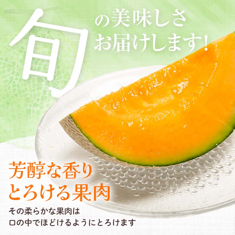 【ふるさと納税】【先行予約】【選べる容量】北海道森町産赤肉メロン1.6～4kg前後 （2026年6月上旬～8月上旬頃に順次お届け） ＜道産ネットミツハシ＞ 10000円 森町 メロン レッドメロン 果物 赤肉 北海道産 ふるさと納税 北海道 mr1-0813 サムネイル3