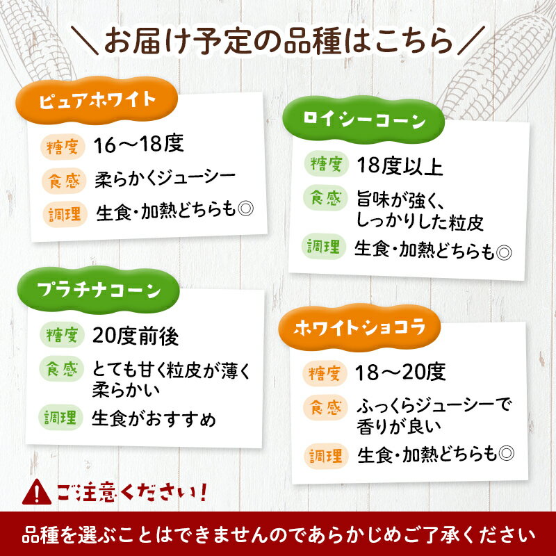 【ふるさと納税】【先行予約】【選べる容量】 10本・15本 白い とうもろこし ホワイトコーン L～2L 北海道森町産（2026年7月下旬～9月中旬までに順次お届け） 北海道産 森町産 トウモロコシ とうきび トウキビ 唐黍 野菜 やさい たっぷり 甘い 朝もぎ 期間限定 mr1-0874 サムネイル3